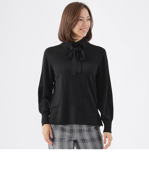 【WEB・一部店舗限定】【ウォッシャブル】スーパーファインウールプルオーバーニット