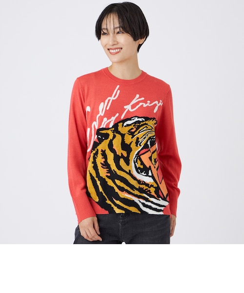 カタログ掲載】【ウォッシャブル】イニシャルタイガーインターシャ