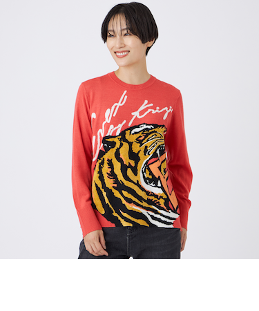 【カタログ掲載】【ウォッシャブル】イニシャルタイガーインターシャニットプルオーバー