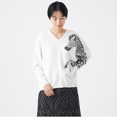 【ウォッシャブル】ゼブラインターシャドルマンスリーブニット