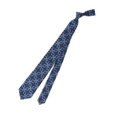 シルクタイ