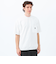バッキンガムベア 度詰め天竺 スピンドルTシャツ
