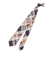 ハウスチェック レギュラータイ