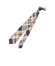 ハウスチェック レギュラータイ