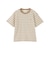 バッキンガムベア マルチボーダーTシャツ