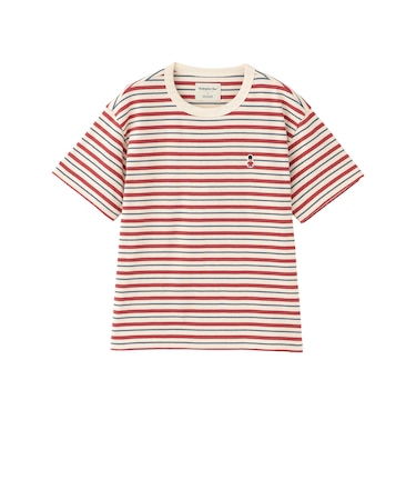 バッキンガムベア マルチボーダーTシャツ