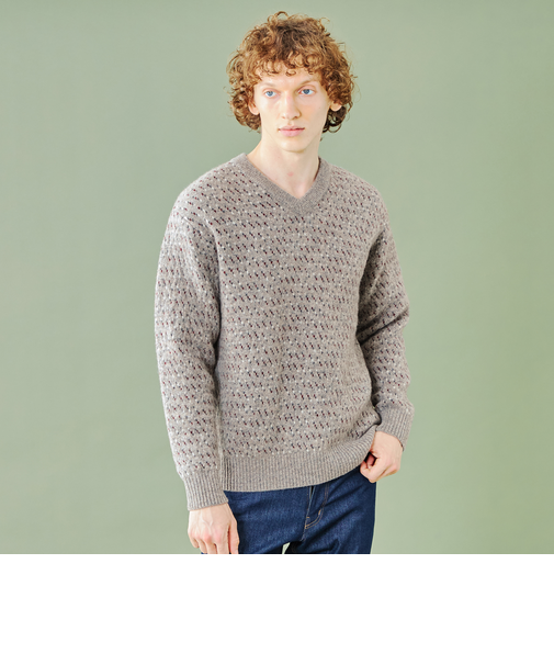 【WEB限定】バーズアイジャカードVネックニット