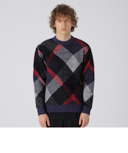 ビッグスケールバイアスチェックニット