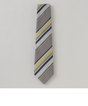 カラーレジメンタルタイ