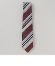 カラーレジメンタルタイ