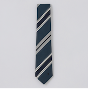 アクセントカラーレジメンタルタイ