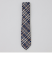 インポートアクセントペンチェックタイ