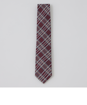 インポートアクセントペンチェックタイ