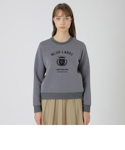 カレッジロゴプルオーバー