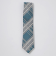 インポートカラーペーンチェックタイ