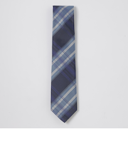 インポートカラーペーンチェックタイ