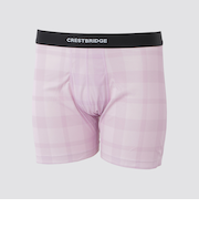 トーナルクレストブリッジチェックボクサーパンツ