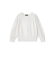 パール刺繍ニットプルオーバー