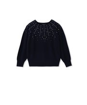 パール刺繍ニットプルオーバー