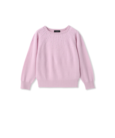 パール刺繍ニットプルオーバー