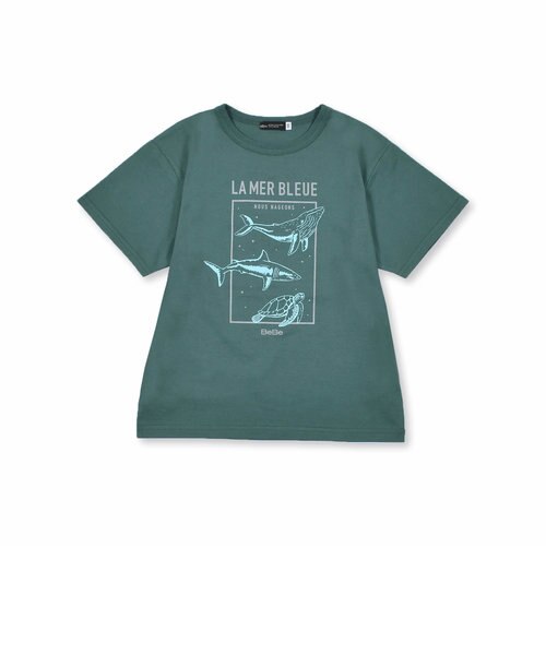 クジラ サメ ウミガメ アニマル プリント ビッグ Tシャツ (90