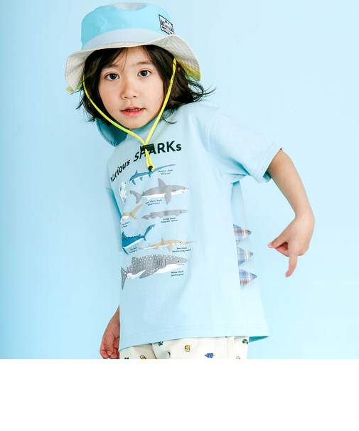 【吸汗速乾】恐竜サメ図鑑風発泡プリントTシャツ(80~130cm)