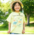 【吸汗速乾】恐竜サメ図鑑風発泡プリントTシャツ(80~130cm)