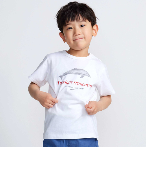 【 速乾 】【神戸須磨シーワールド×BeBe】シャチ・イルカ 図鑑風半袖Tシャツ(80~140cm)