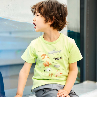 【 速乾 】【神戸須磨シーワールド×BeBe】不思議な青い世界 海の生きもの半袖Tシャツ(80~140cm)