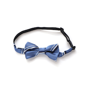 レジメンタル蝶ネクタイ