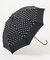 Umbrella-D