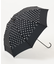 Umbrella-D