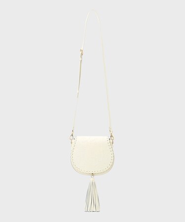 PaisleyMiniBag