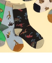 BOYSバラエティソックス