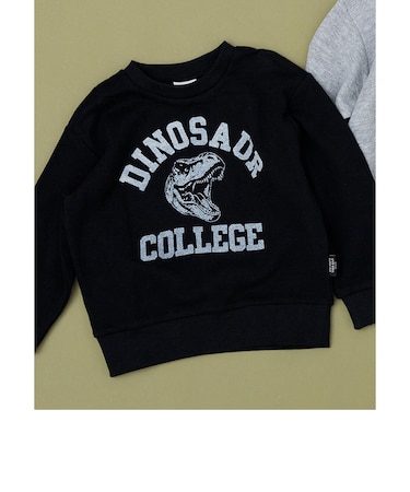 WEB限定 カラバリ グラフィックトレーナー