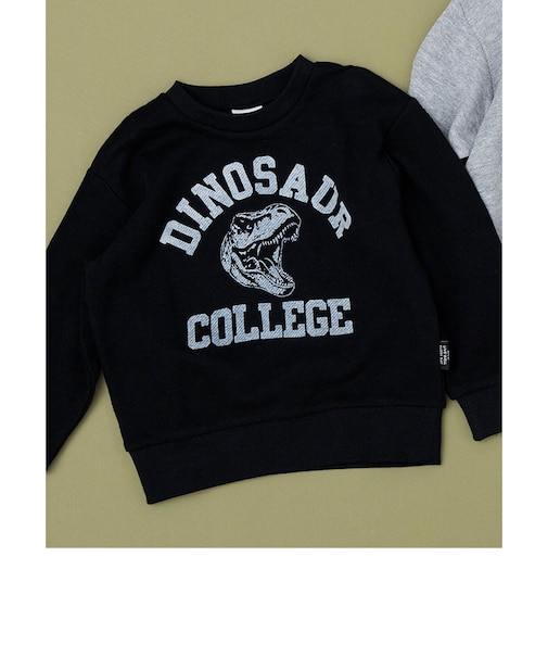 WEB限定 カラバリ グラフィックトレーナー