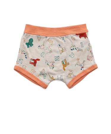 バラエティ ボクサーパンツ B