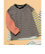 WEB限定  無地ボーダー長袖Tシャツ