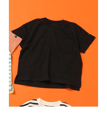 WEB限定 無地ボーダーTシャツ