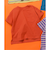 WEB限定 無地ボーダーTシャツ