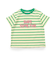 マルチボーダーバリエTシャツ