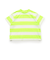 WEB限定 ネオンボーダーTシャツ