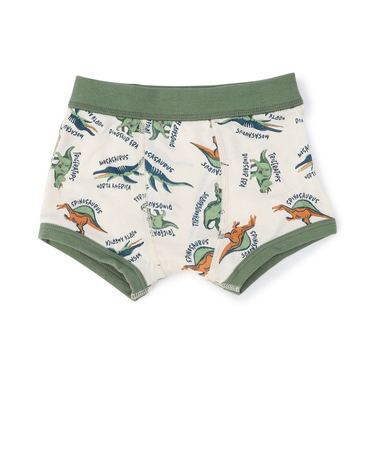 バラエティボクサーパンツC
