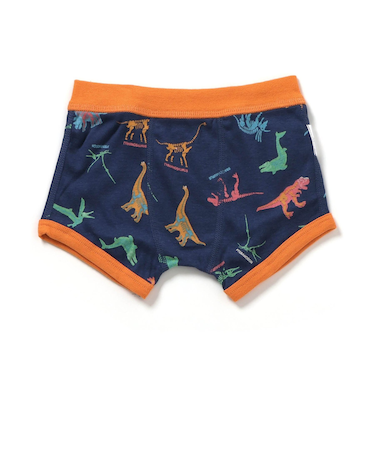 バラエティボクサーパンツB