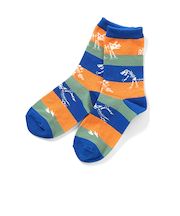 恐竜地層柄ソックス