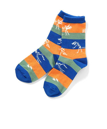 恐竜地層柄ソックス