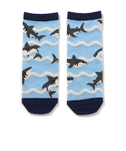 どこでも正解ソックス