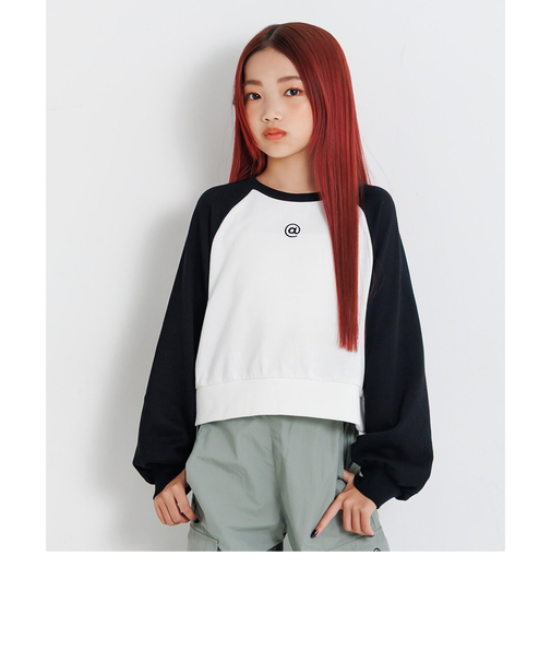 ラグラントレーナー