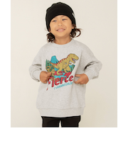 WEB限定 カラバリ グラフィックトレーナー