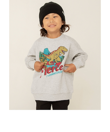 WEB限定 カラバリ グラフィックトレーナー